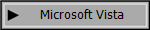 Microsoft Vista