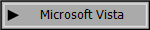 Microsoft Vista